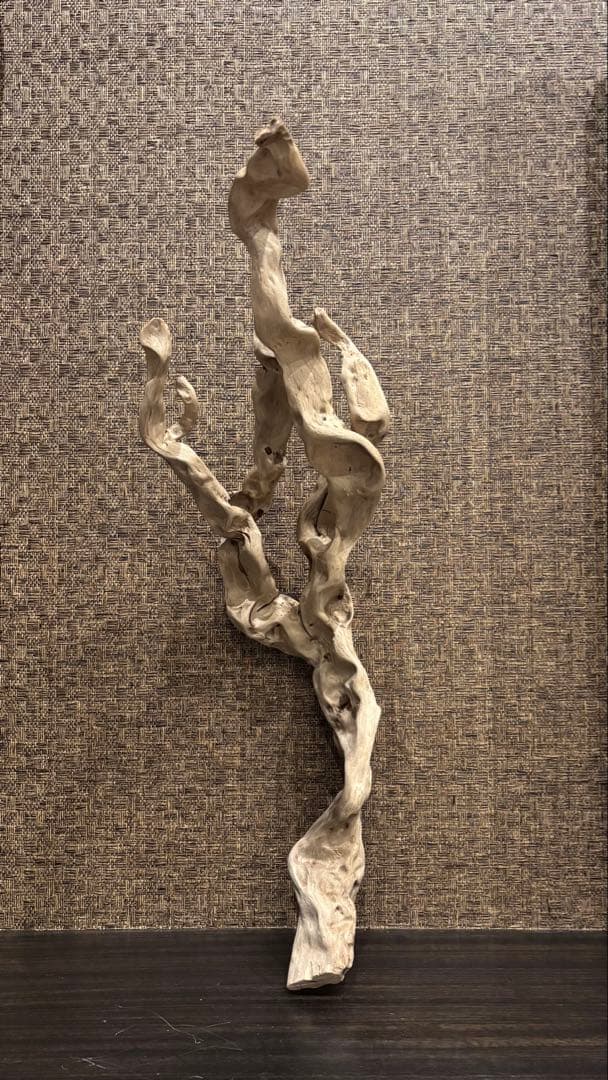 流木 うねうね系ロング　59cm