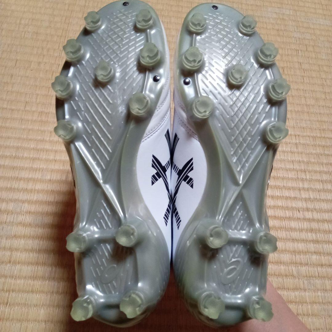 asics　DS LIGHT X-FLY 5 25cm2E