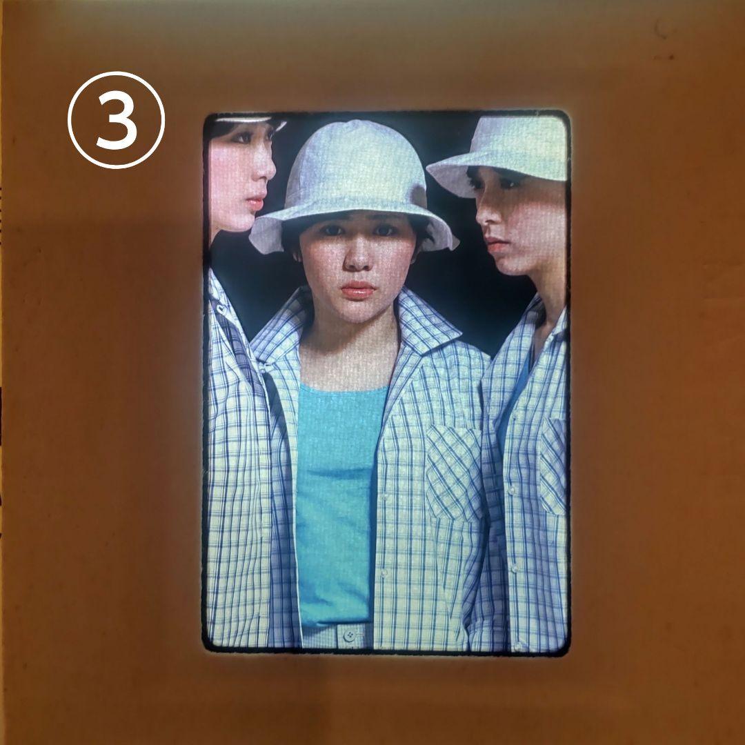 希少！キャンディーズ ネガフィルム