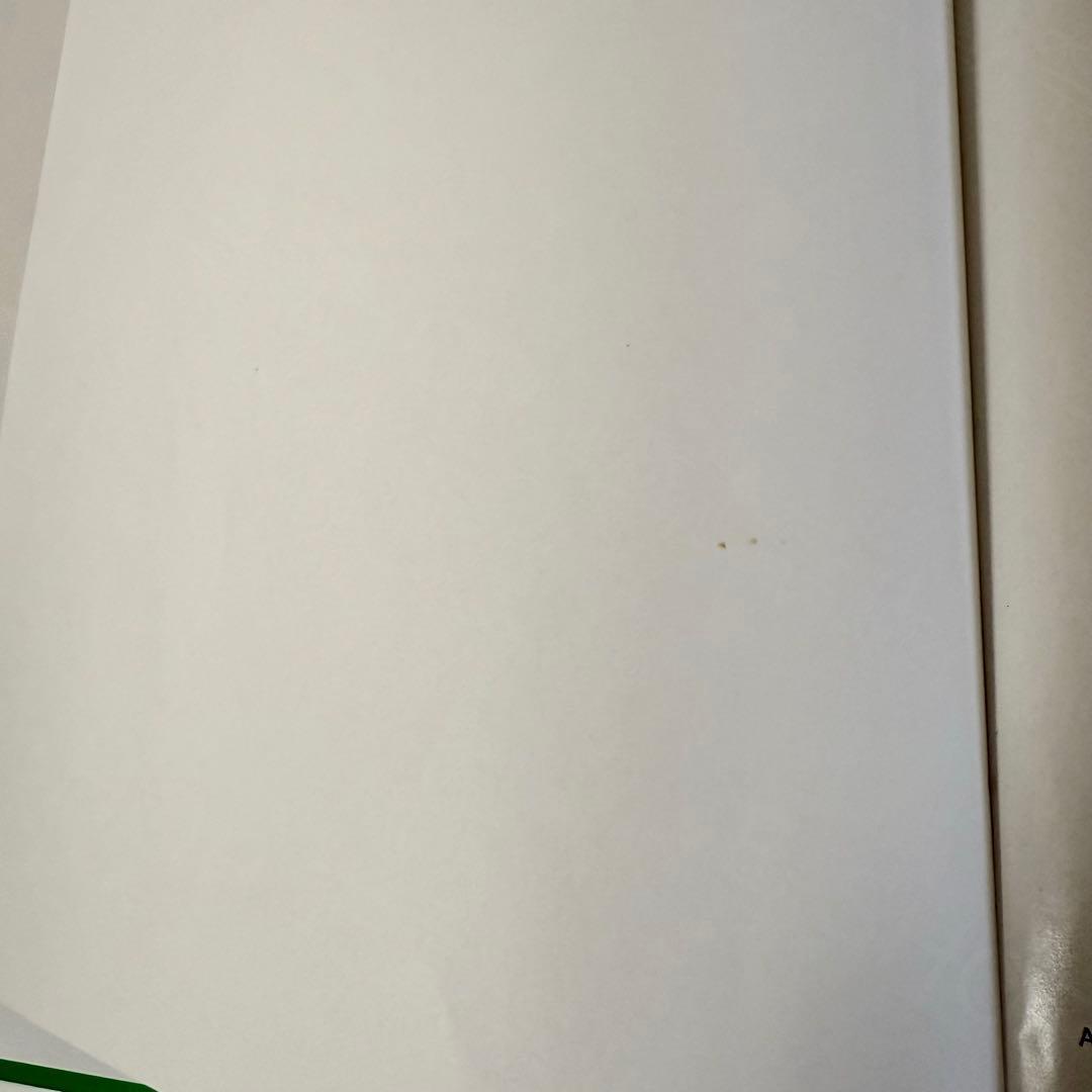 2012年旧子役版　DWE シングアロング　ディズニー英語システム