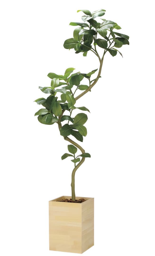 光触媒　人工観葉植物　フェイクグリーン　ウッドボックスアルテシマ2.1(組立式)