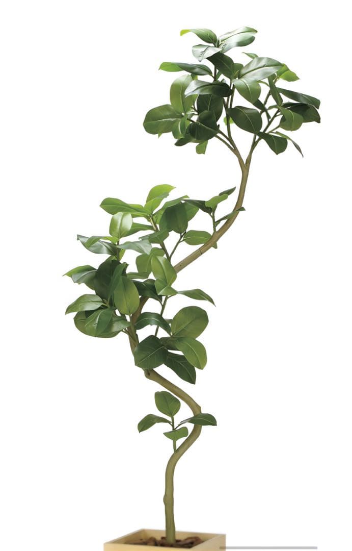 光触媒　人工観葉植物　フェイクグリーン　ウッドボックスアルテシマ2.1(組立式)