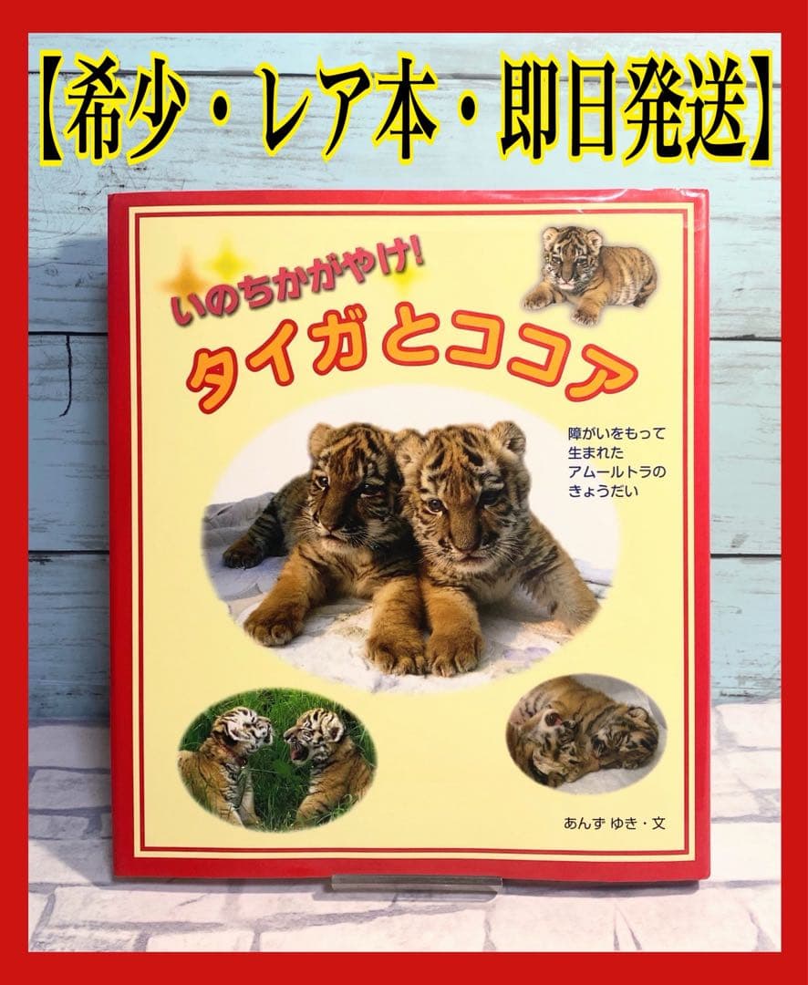 いのちかがやけ!タイガとココア : 障がいをもって生まれたアムールトラのきょう…