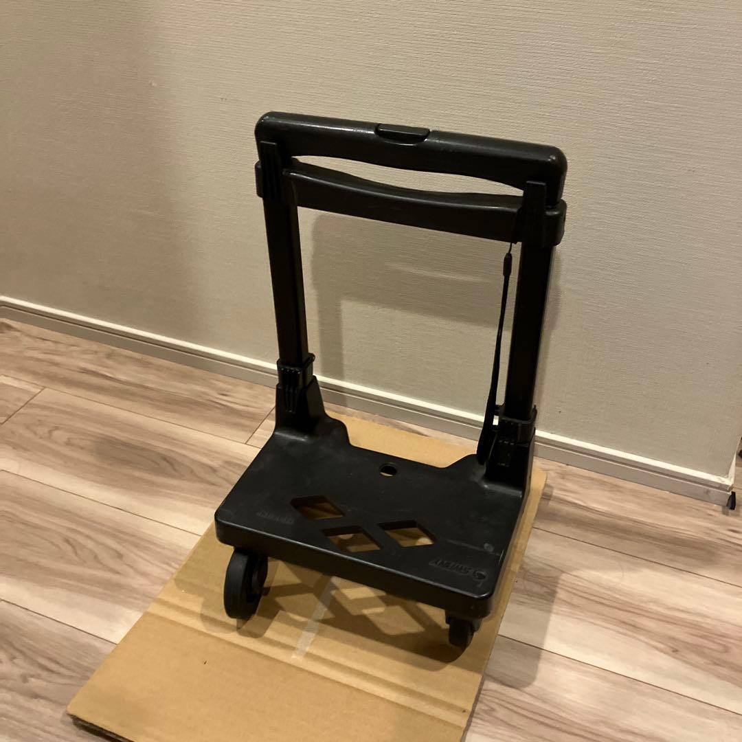 希少 SWANY スワニー キャリーバッグ ショッピングカート ペイズリー柄