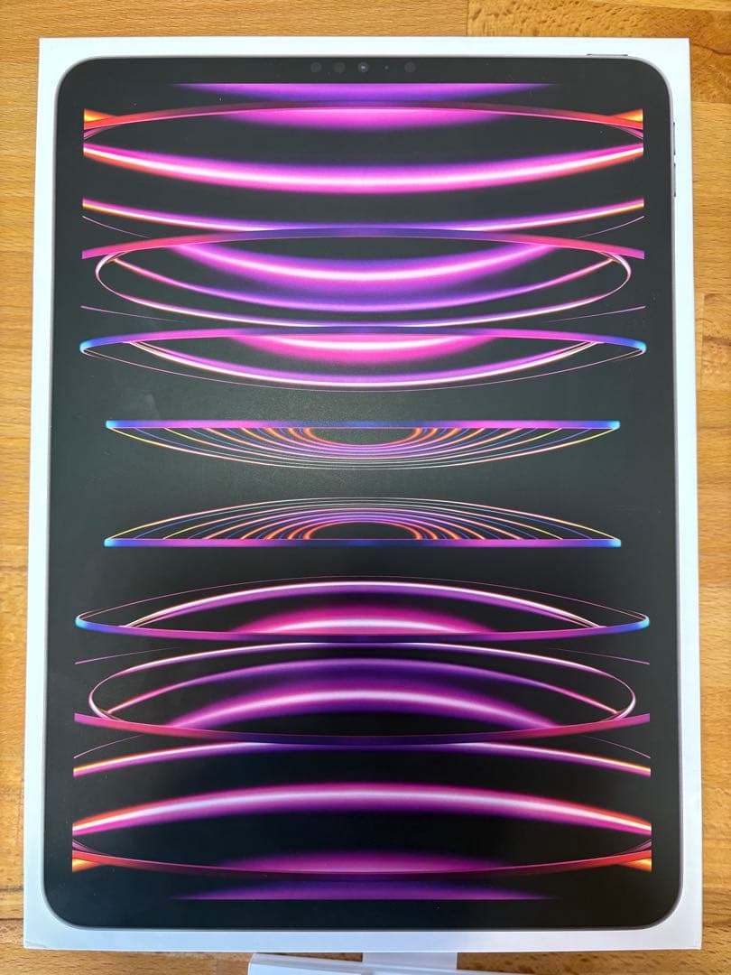 Apple iPad Pro シルバー 本体 256GB 11インチ 第4世代