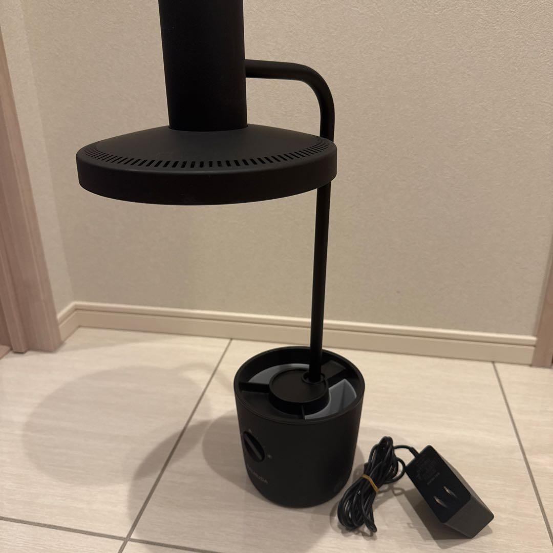 バルミューダ　ライト