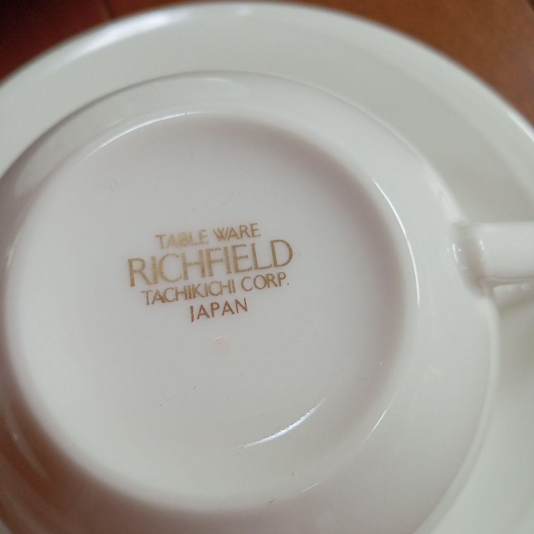 RICHFIELD リッチフィールドセット　カラーの模様食器６種類