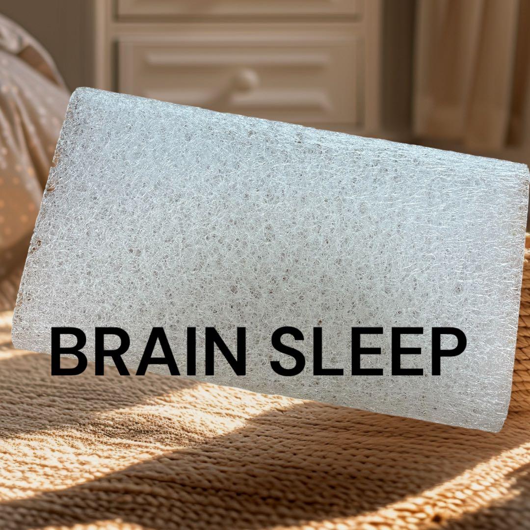 【美品】[BRAIN SLEEP] ブレインスリープ ピロー (スタンダード)