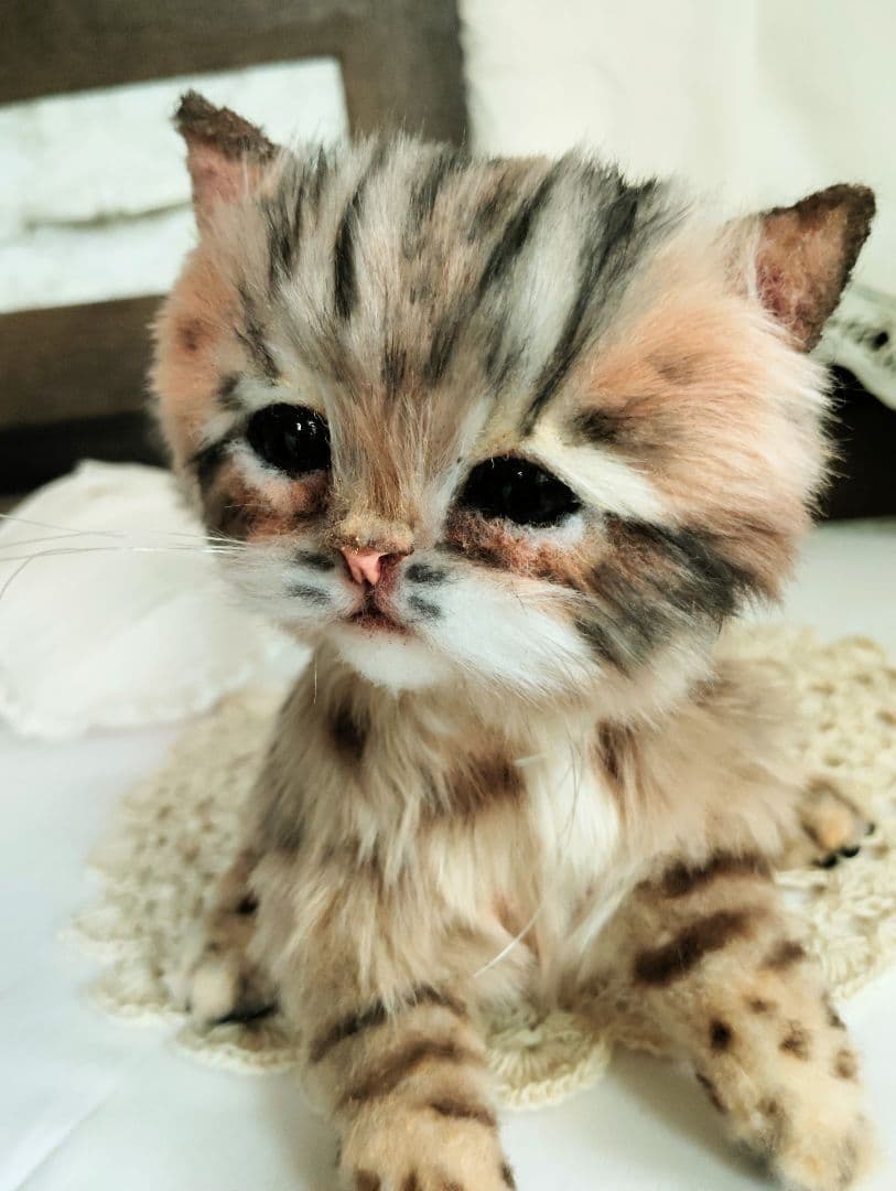 ヤマネコベビー❤子猫ちゃん♡アートドール♡ぬいぐるみ♡