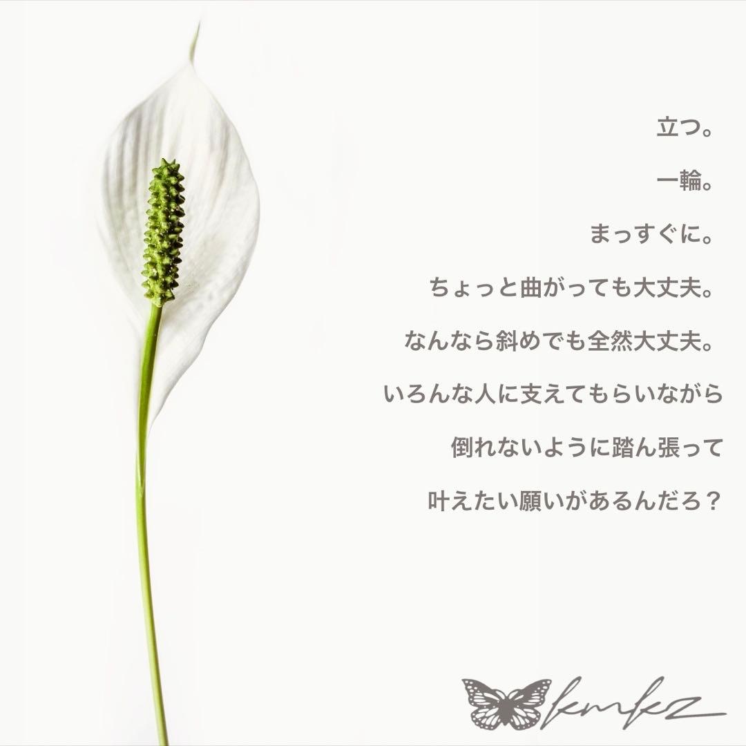 ヌガー様size custom【2点】専用ページ