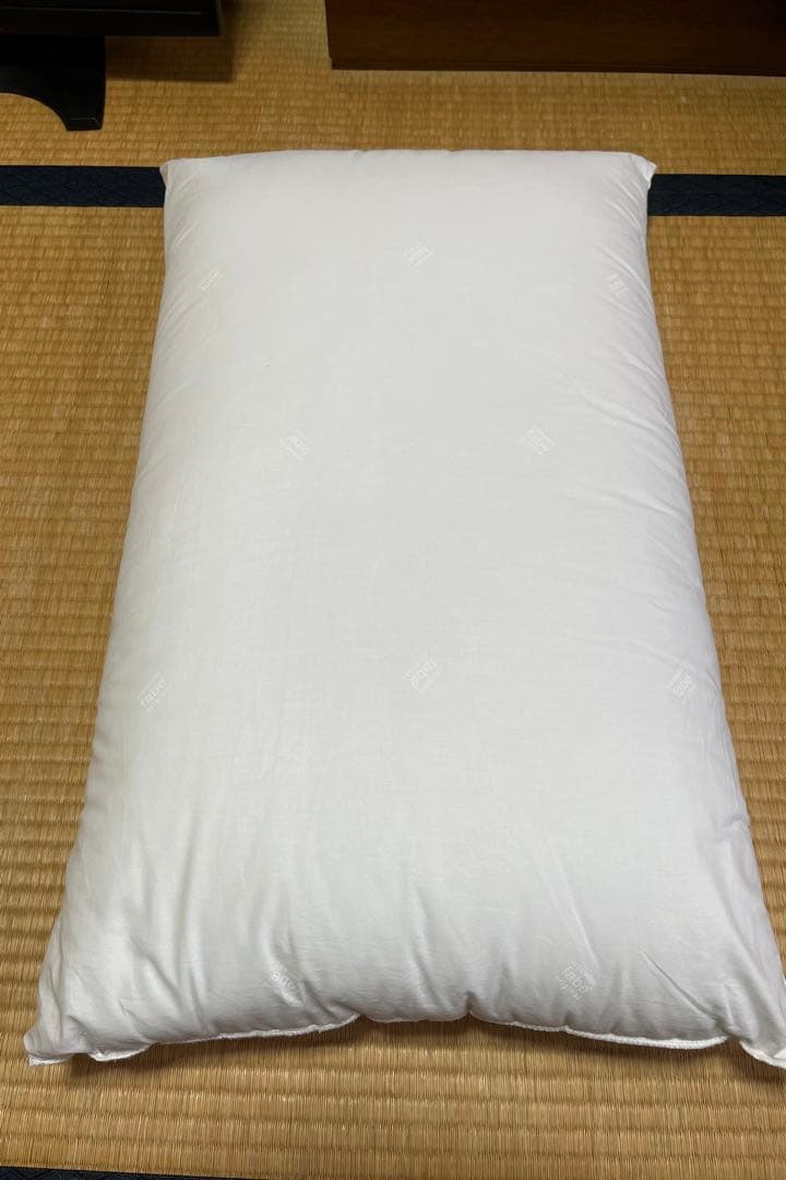 メディカル枕　fabeファべ　通販生活　専用カバー1枚付き