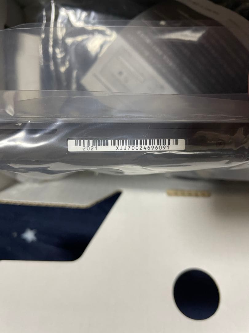 【極美品】Nintendo Switch Lite グレー付属品完備・動作確認済