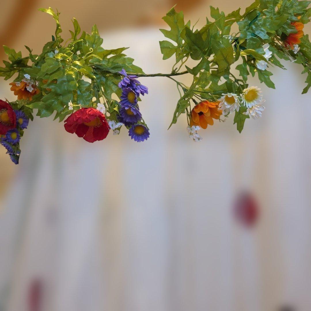 スパイス　てんとう虫キャノピー