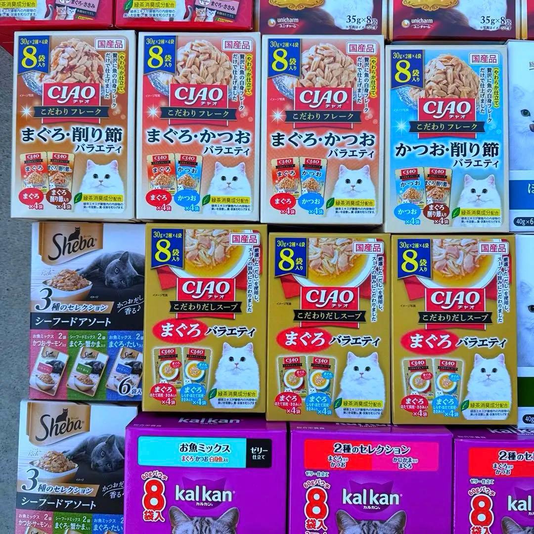 猫B 超激安！
