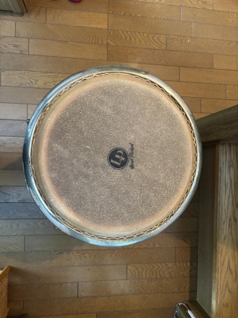 【ジエイ】LP コンガ (キント)