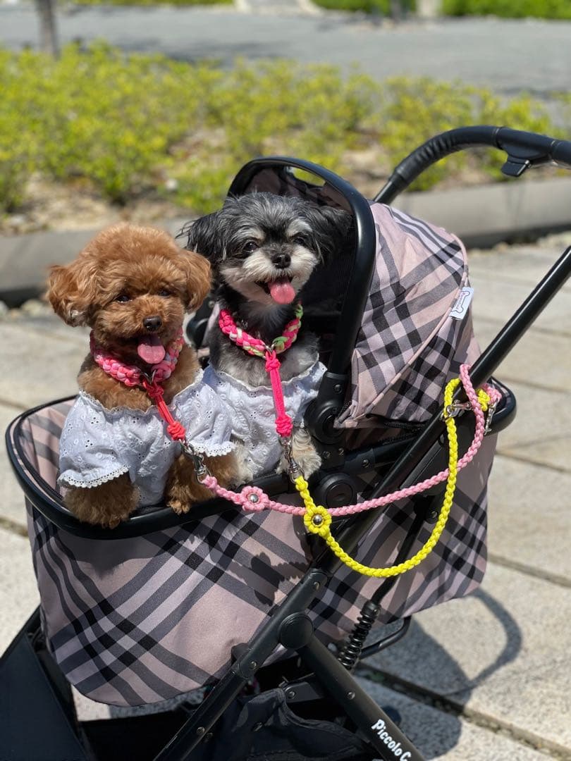 パラコード 犬 カート用 ショートリード no.45