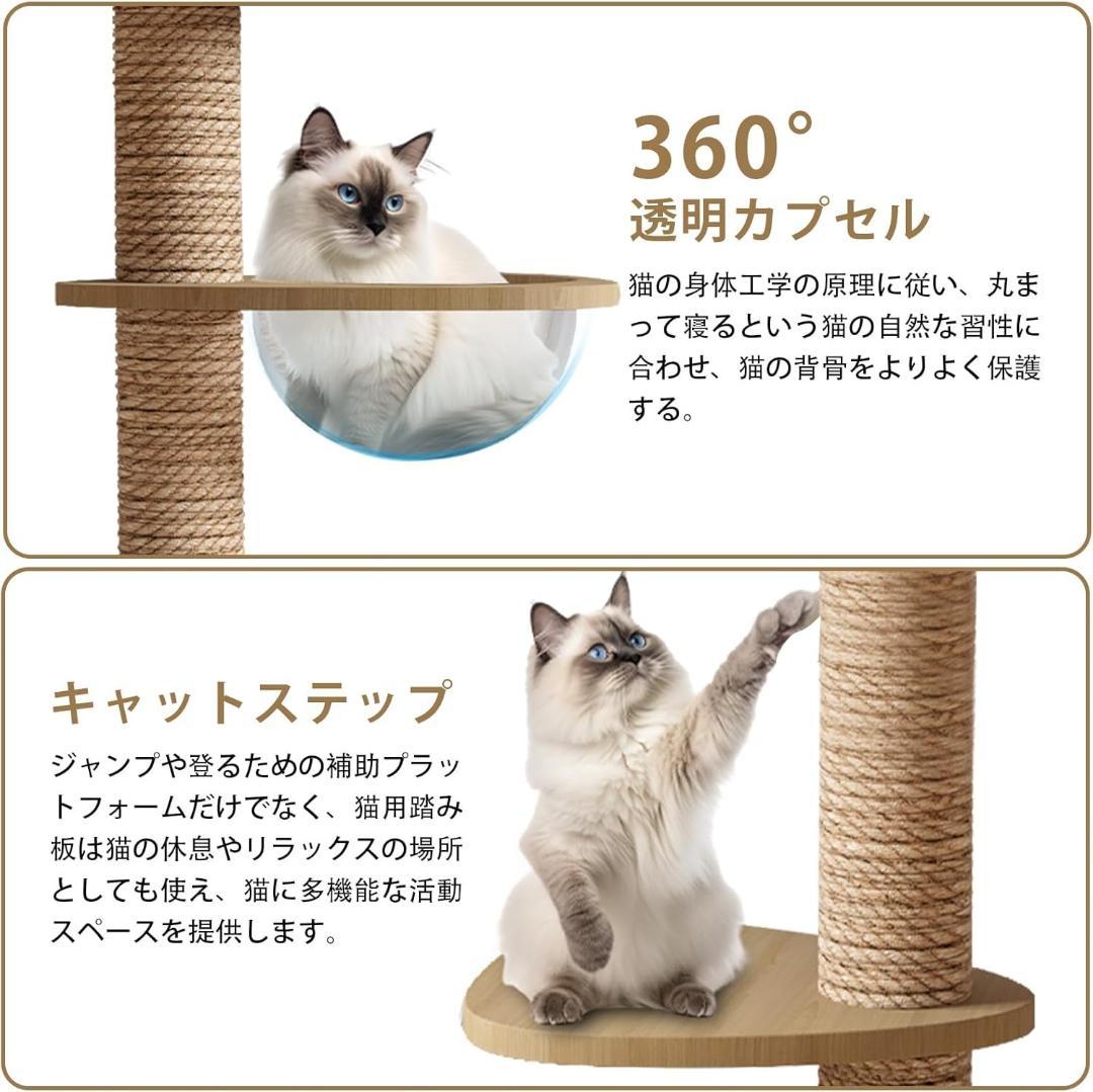 突っ張り型キャットタワー 360°透明カプセル(高さ258~290cm)