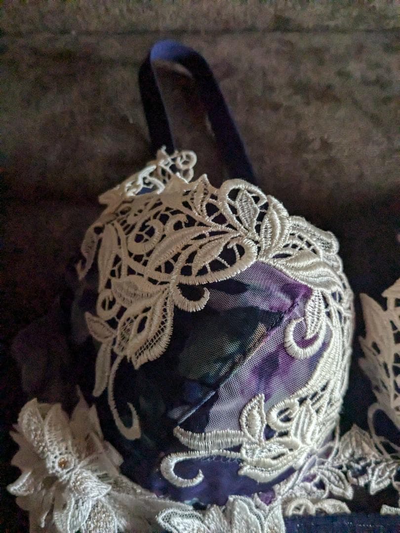 ワコール、サルート62グループブラD75サルートロゴ入り、ショーツMサイズ。