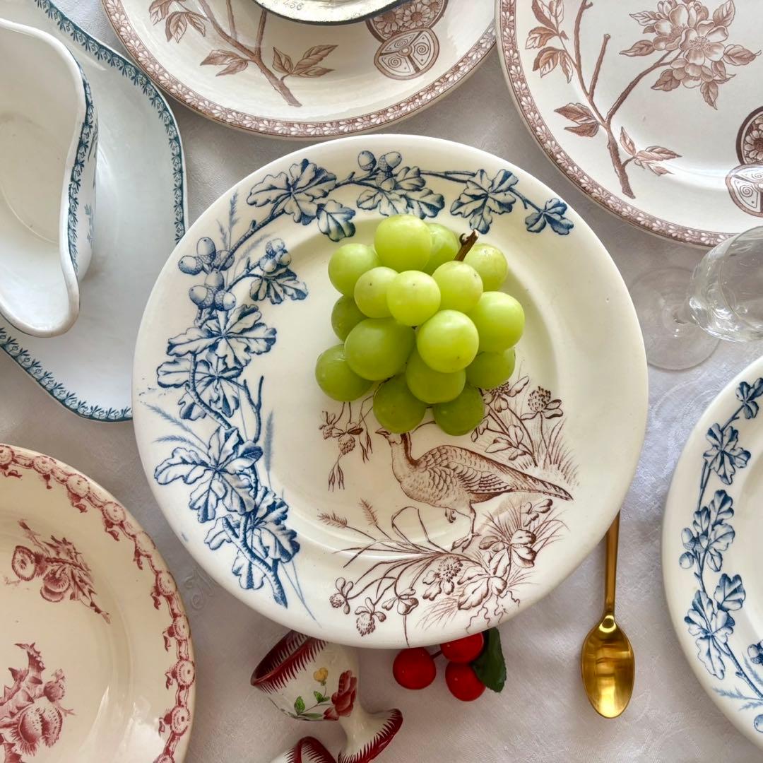 フランスアンティーク˚✧₊ クレールフォンテーヌꕤ︎︎ 鳥さんコンポティエꕤ︎︎ レア✧