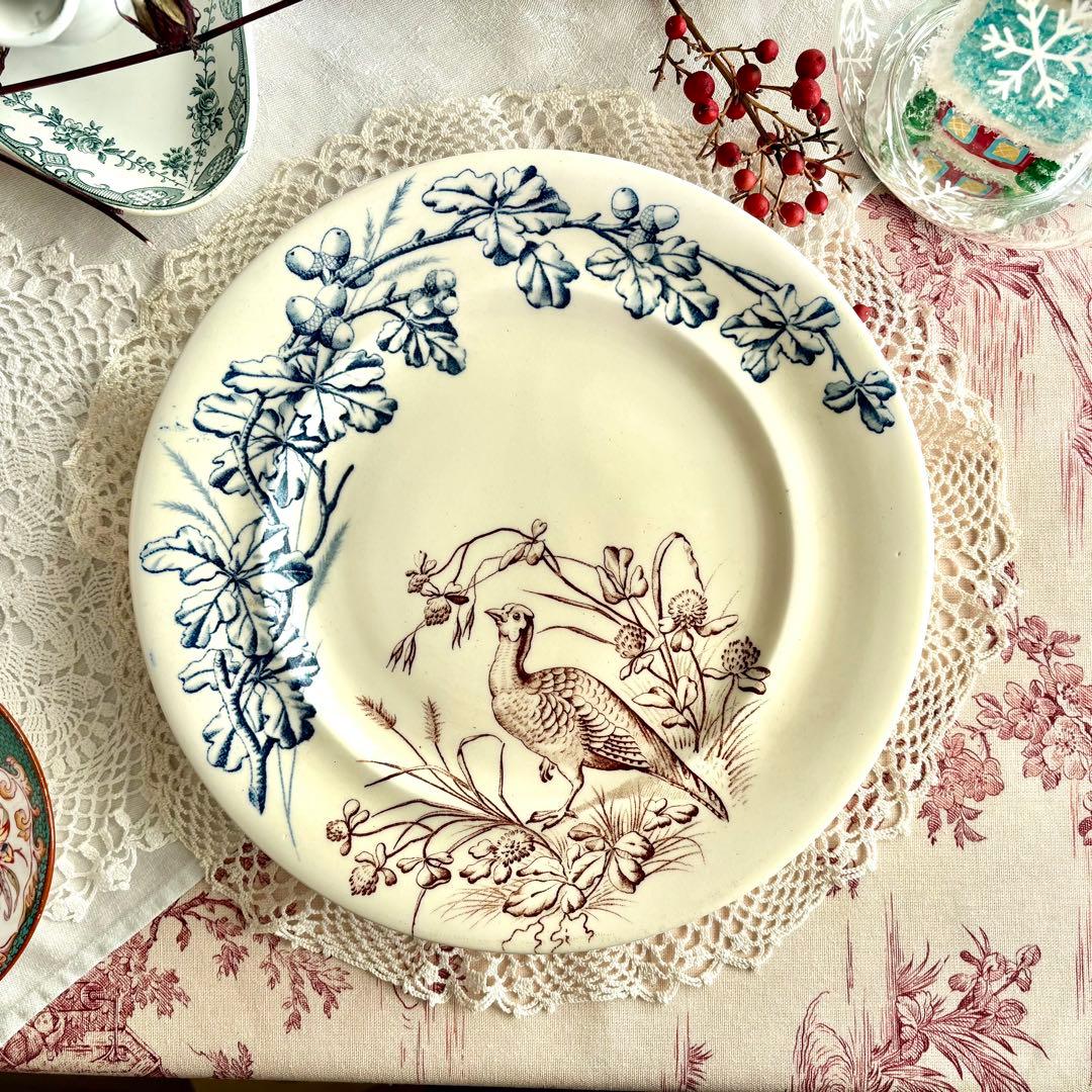 フランスアンティーク˚✧₊ クレールフォンテーヌꕤ︎︎ 鳥さんコンポティエꕤ︎︎ レア✧