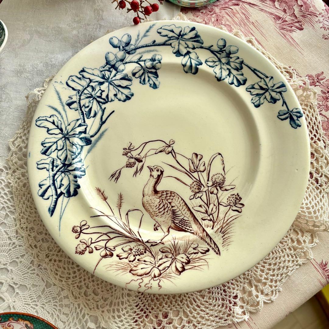 フランスアンティーク˚✧₊ クレールフォンテーヌꕤ︎︎ 鳥さんコンポティエꕤ︎︎ レア✧