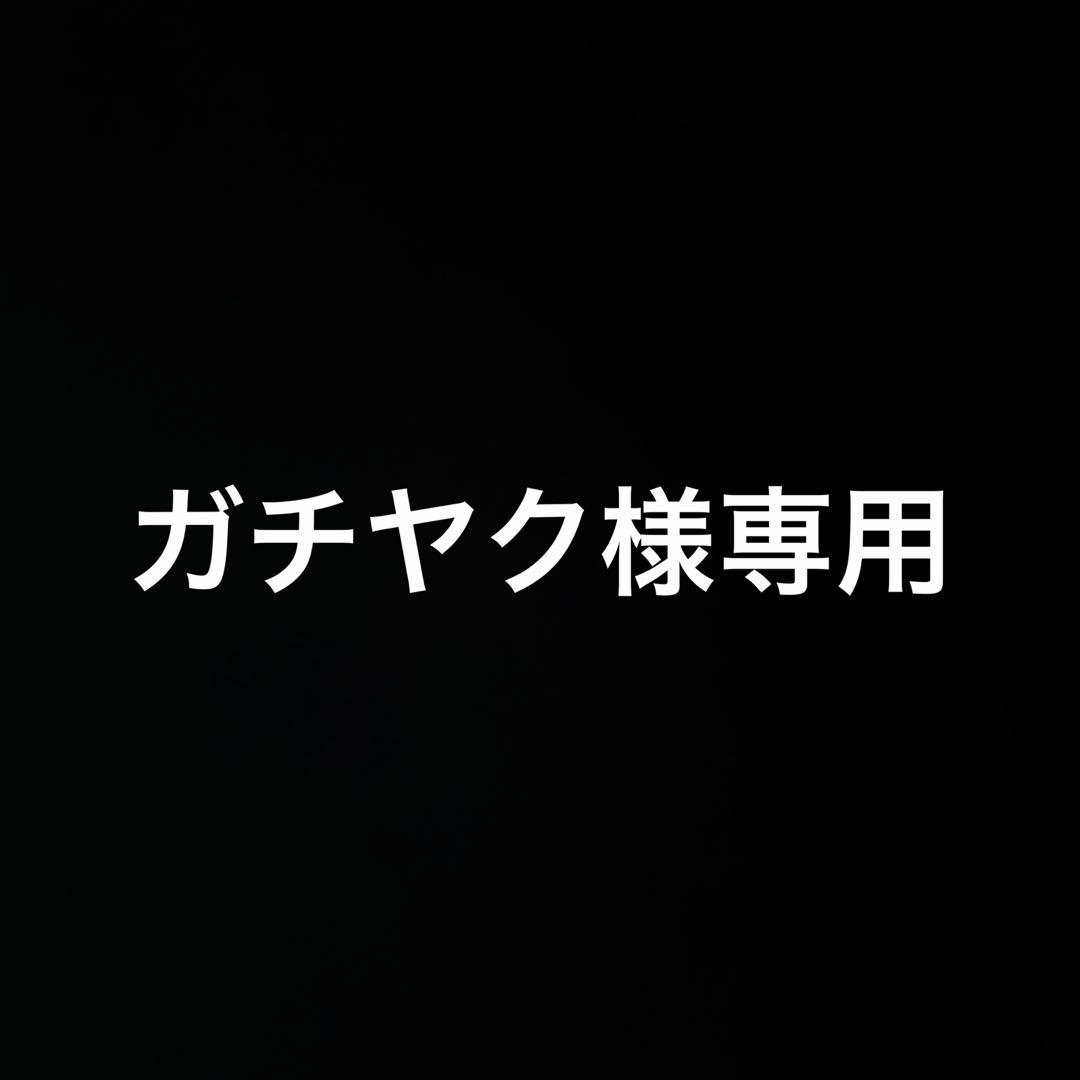 専用ページ リュック