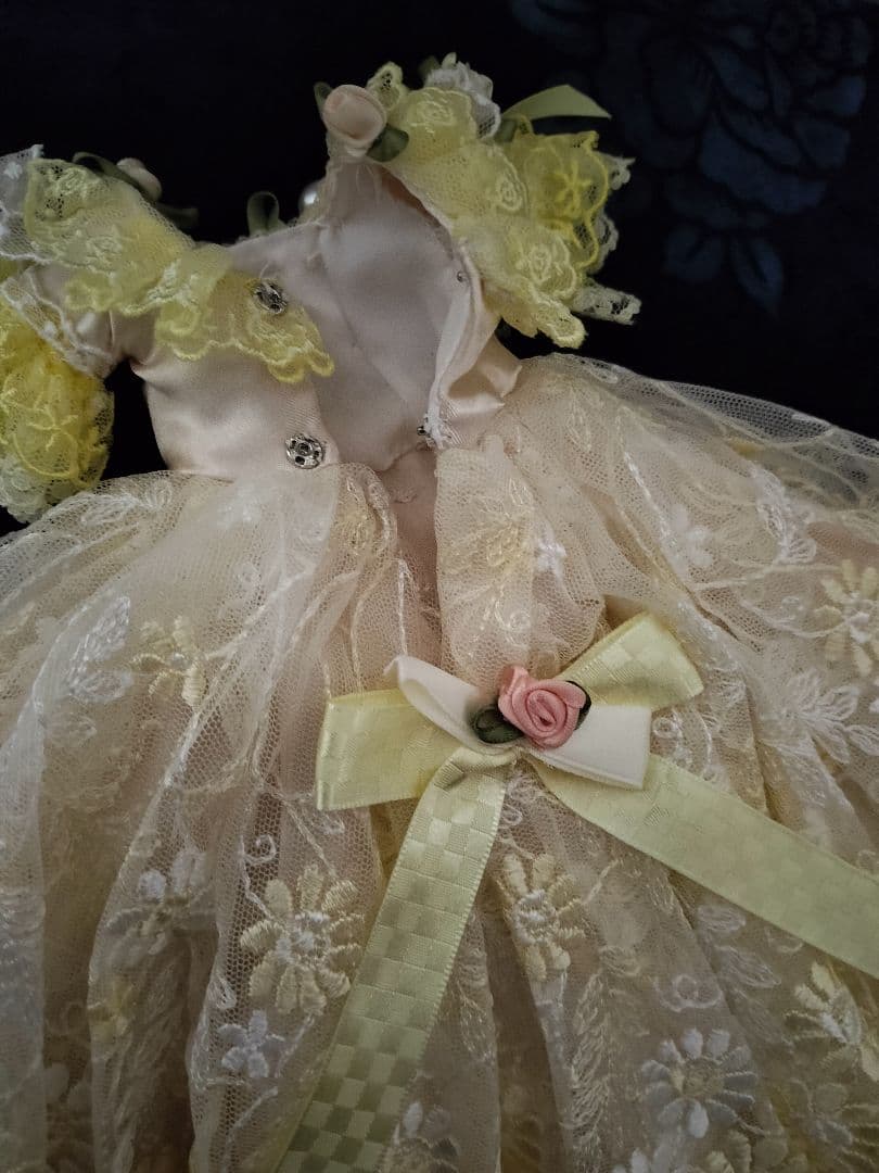 ポピーパーカー、ファッションロイヤリティ、バービーsizeのアウトフィット