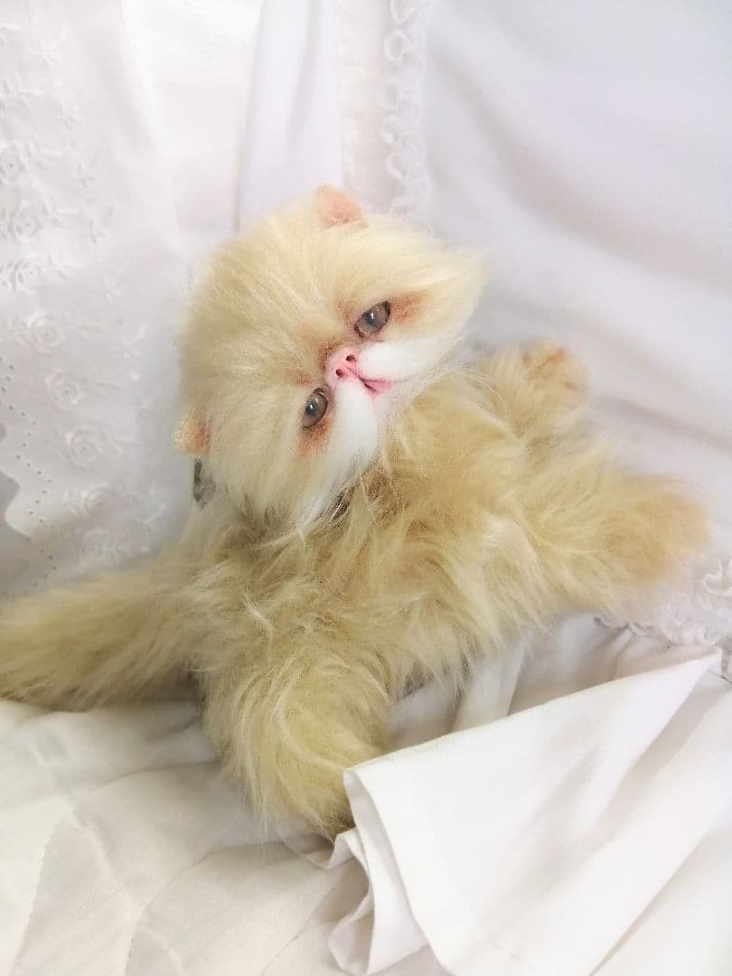 ふにゃっくた♡やわにゃわ♡エキゾチック子猫ちゃん♡アートドール♡ぬいぐるみ♡