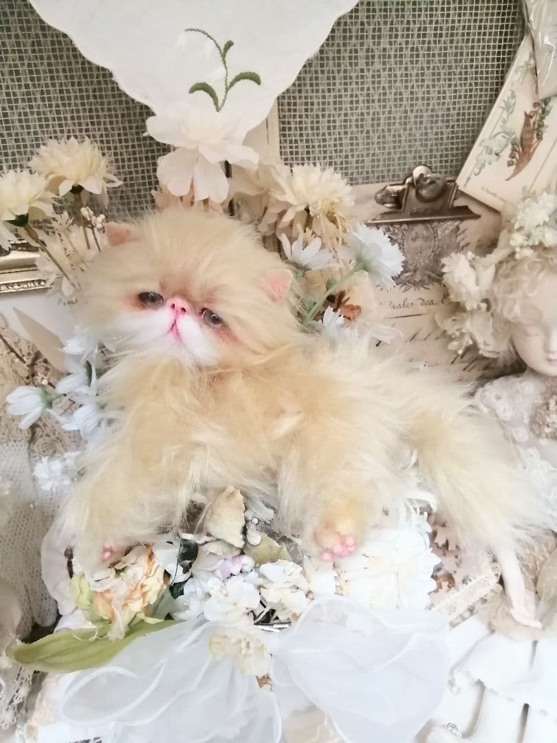 ふにゃっくた♡やわにゃわ♡エキゾチック子猫ちゃん♡アートドール♡ぬいぐるみ♡