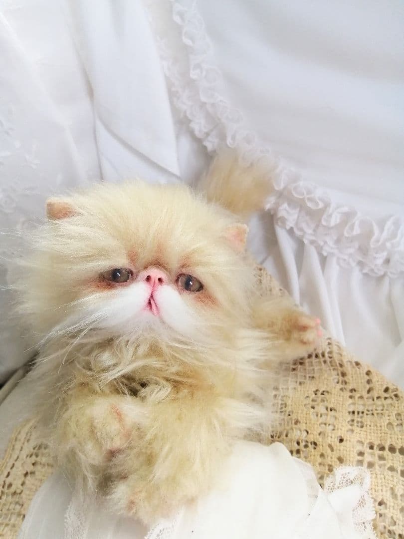 ふにゃっくた♡やわにゃわ♡エキゾチック子猫ちゃん♡アートドール♡ぬいぐるみ♡