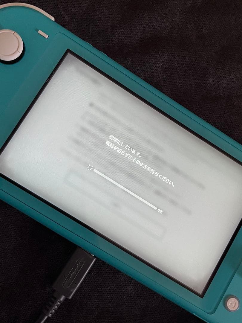 Nintendo Switch Lite 充電器なし