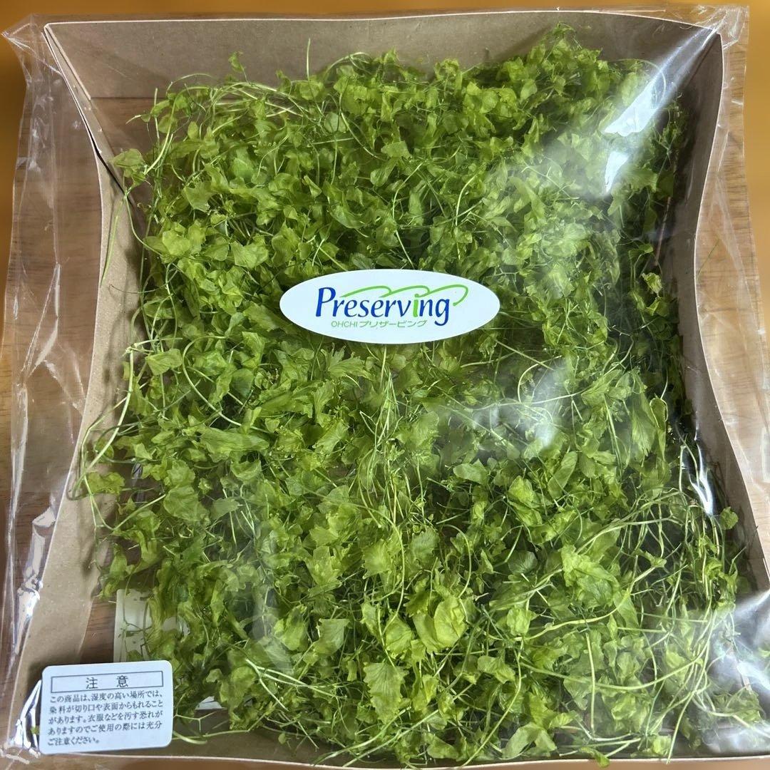 プリザーブドフラワーアレンジメント資材セット.クォーツ時計