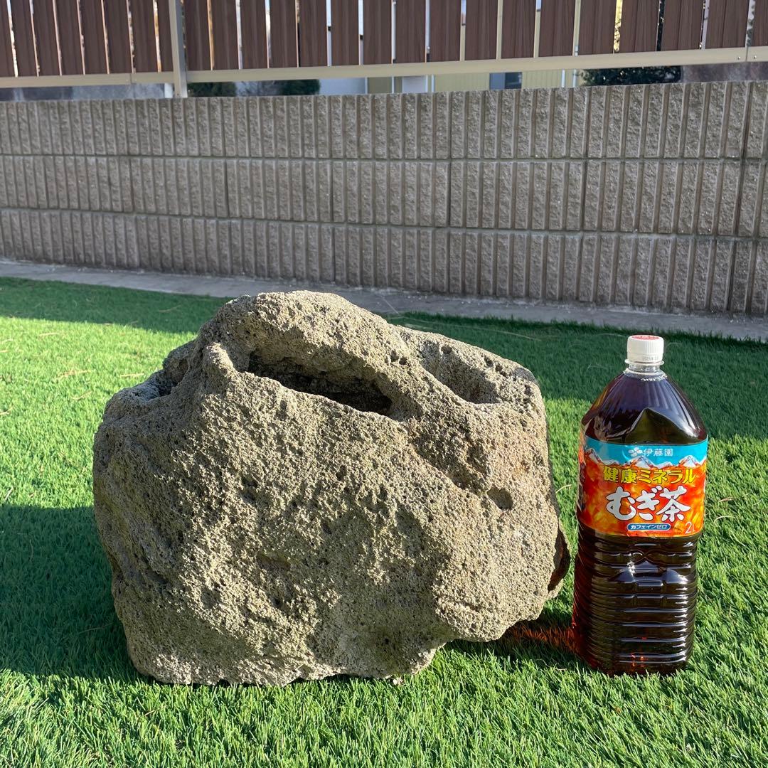 庭石 火山岩 軽石 天然石 穴ありガーデニングアクアリウム 水槽石 山草鉢 石鉢