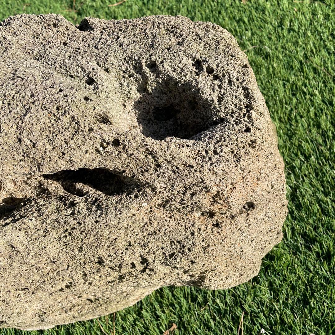 庭石 火山岩 軽石 天然石 穴ありガーデニングアクアリウム 水槽石 山草鉢 石鉢