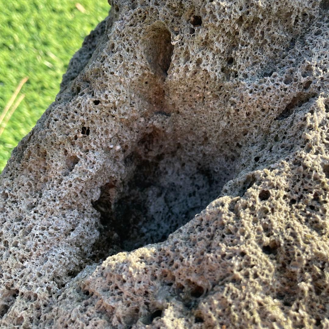 庭石 火山岩 軽石 天然石 穴ありガーデニングアクアリウム 水槽石 山草鉢 石鉢