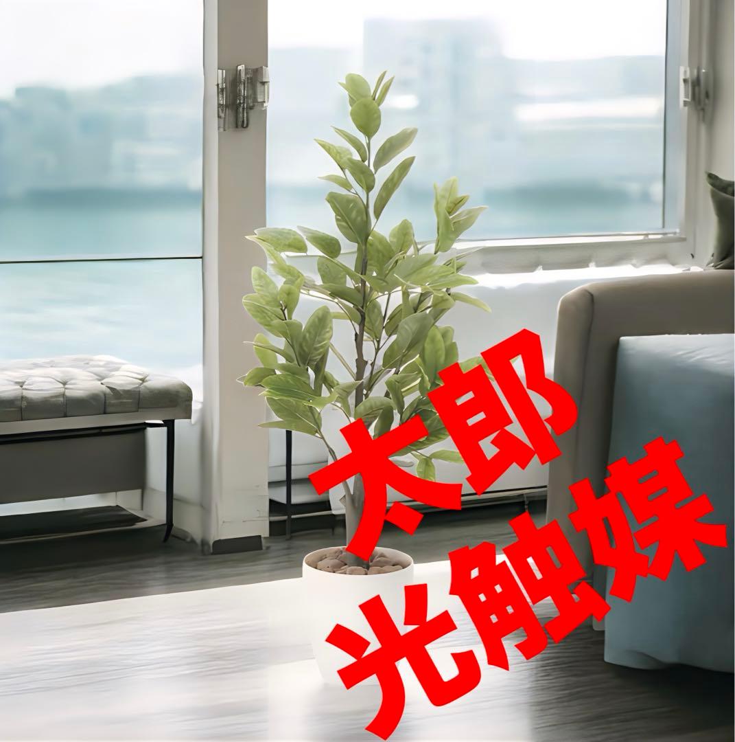 光触媒　人工観葉植物　ウォールグリーン　フェイクグリーン　レモンの木1点もの