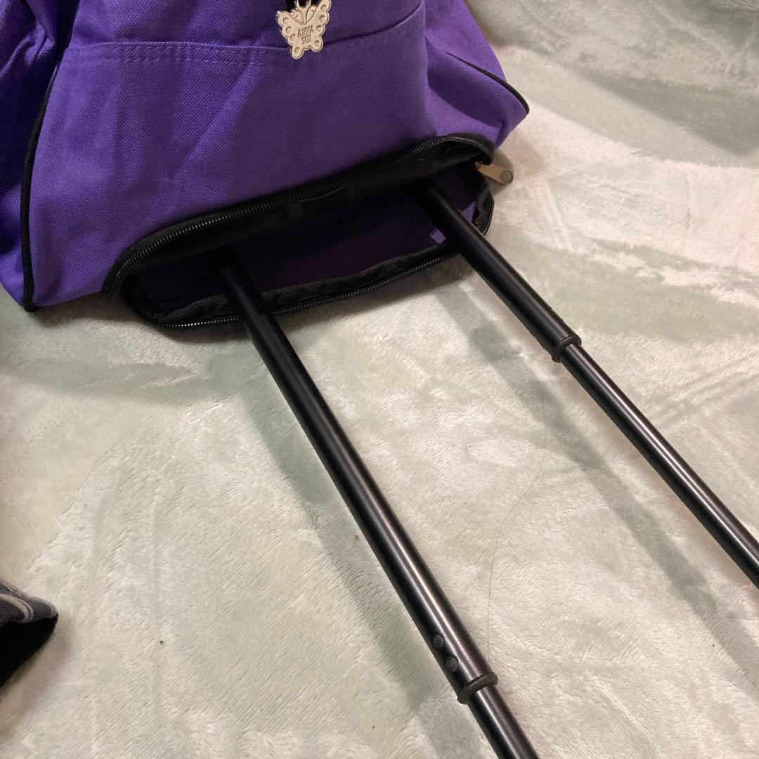 ANNA SUI キャリーバック