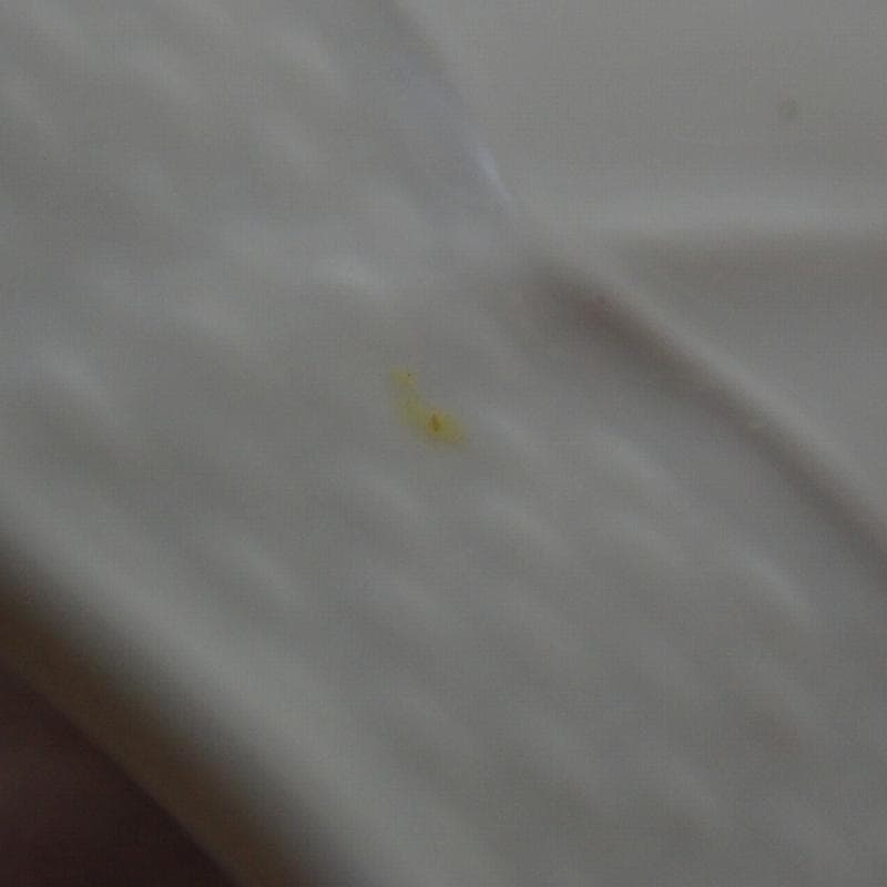 RU-6198 ベッキオホワイト　リチャードジノリ 19.5㎝　プレート 5枚