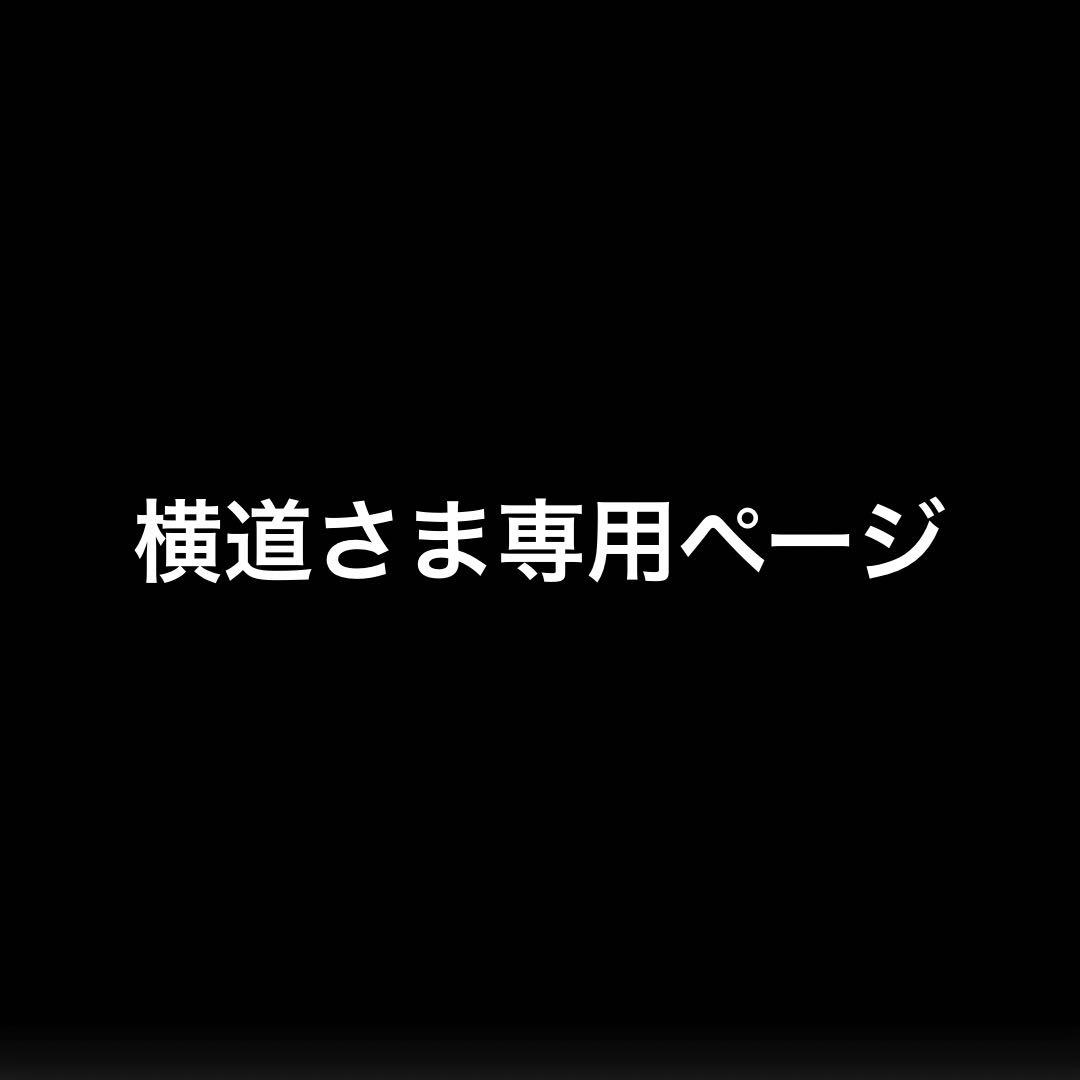 横道さま専用ページ