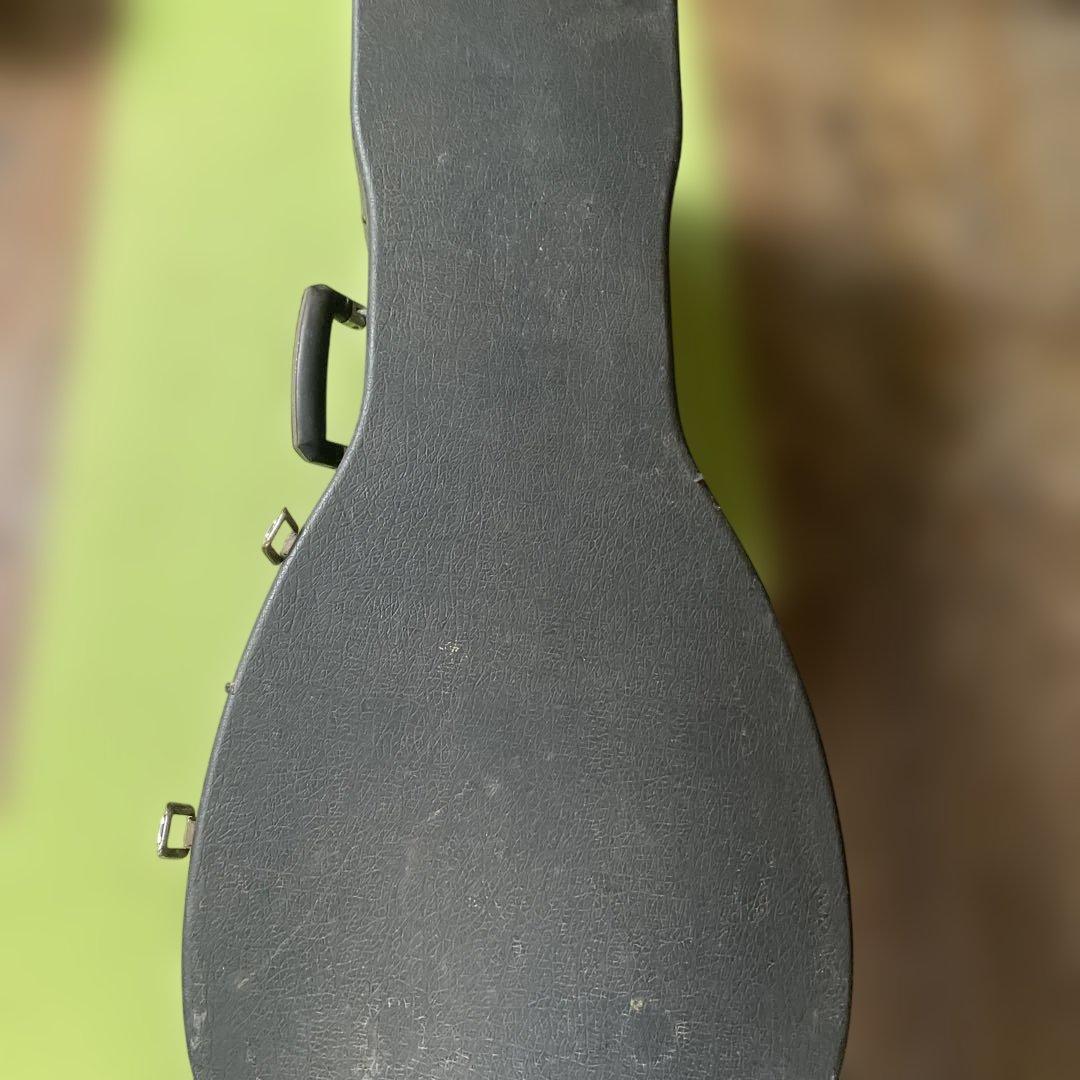 川*獺様 ARIA ルネサンスリュート　10コース　アリア　門野厳