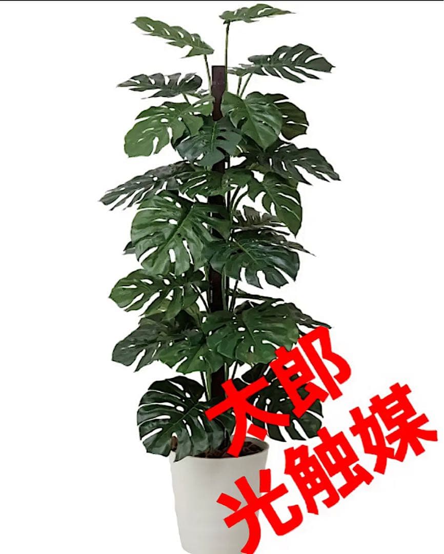 光触媒　人工観葉植物　ウォールグリーン　フェイクグリーン　モンステラ180