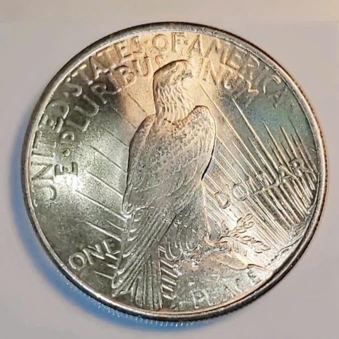 M*g様 アメリカ　1924　銀貨ダラー　平和ドル　GEM BU+　本物保証