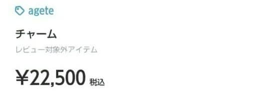 agete　K10 水晶　淡水パール　ピアスチャーム