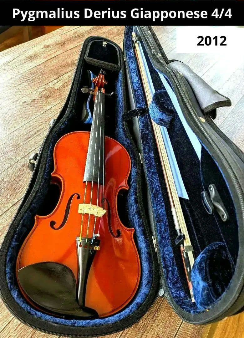あゆみPygmalius Derius Giapponese 4/4