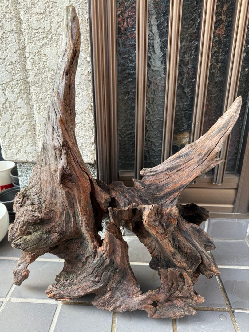 【値引交渉大歓迎】切り株 着生 ガーデニング 置物