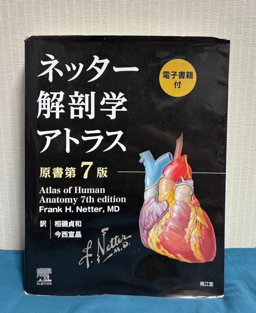 ネッター解剖学アトラス 原書第7版　未使用