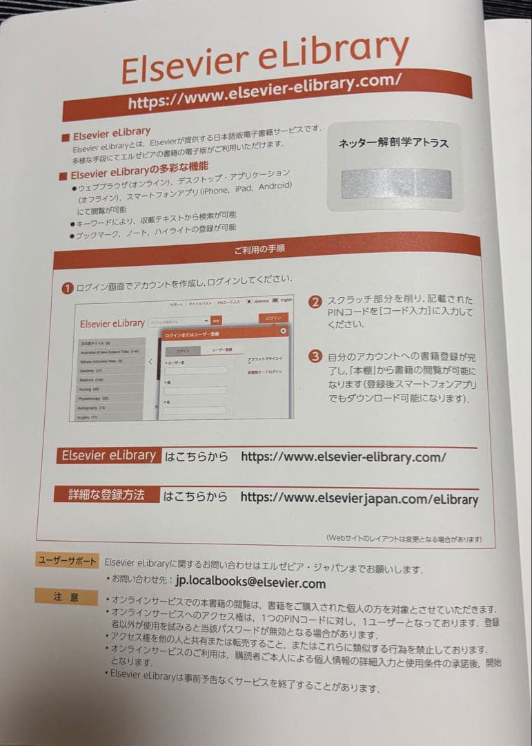ネッター解剖学アトラス 原書第7版　未使用