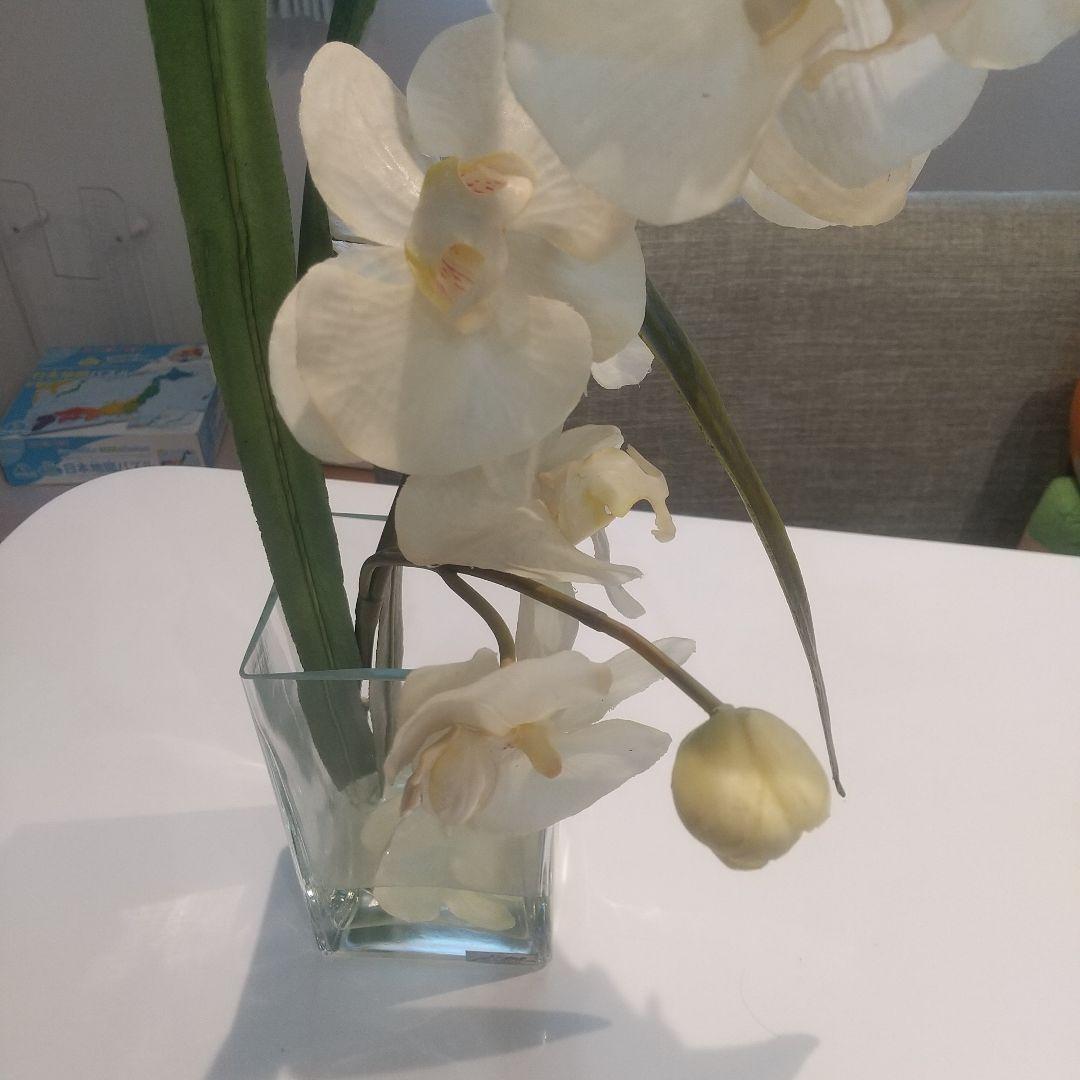 最終値下げエミリオロバ♥️高級アートフラワー胡蝶蘭胡蝶蘭