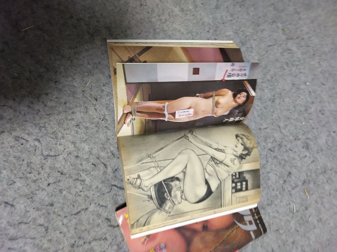 ★入手困難★匿名配送 昭和レトロ S&Mコレクター16冊 団鬼六、春川ナミオ他