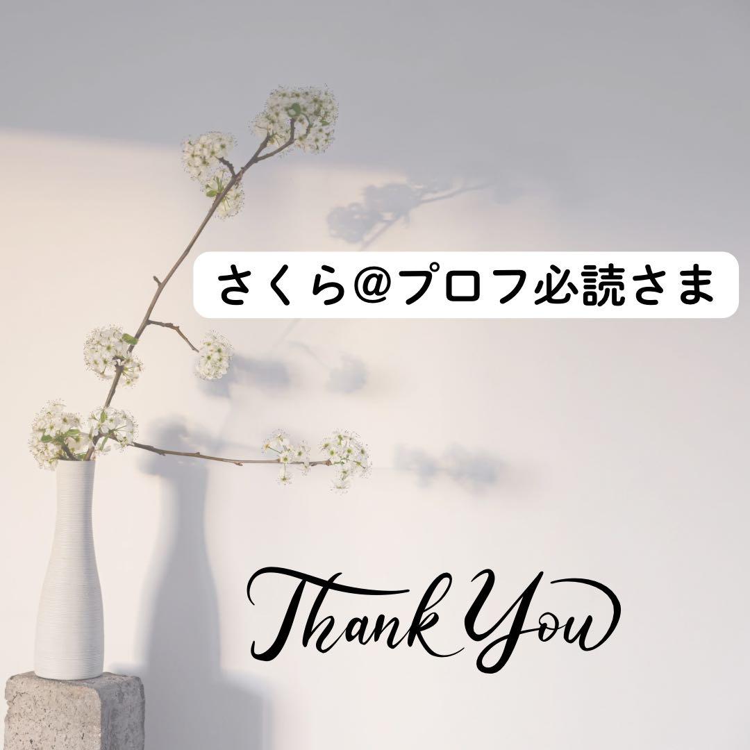 さくら@プロフ必読さま専用ページ